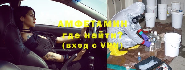 прущие грибы Горняк
