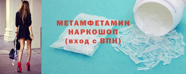 прущие грибы Горняк