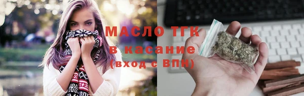 прущие грибы Горняк