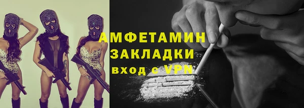 прущие грибы Горняк