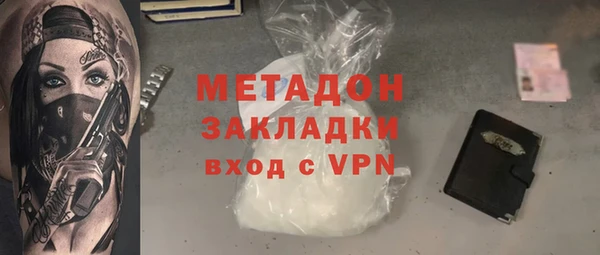 прущие грибы Горняк