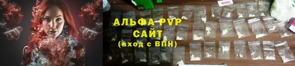 прущие грибы Горняк