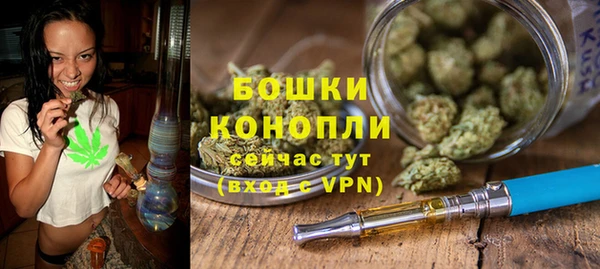прущие грибы Горняк