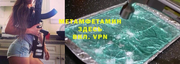 прущие грибы Горняк