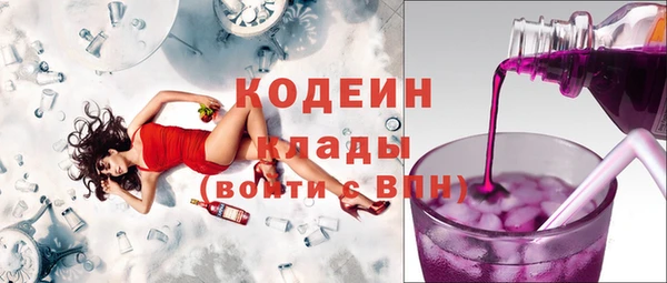 хмурый Горно-Алтайск