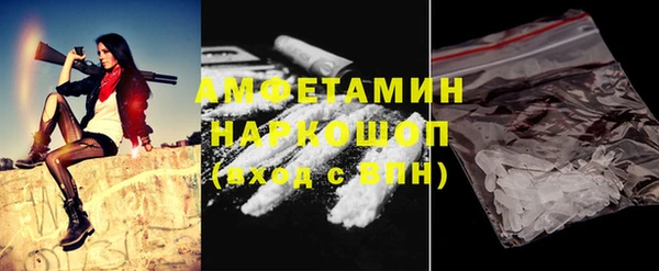 прущие грибы Горняк