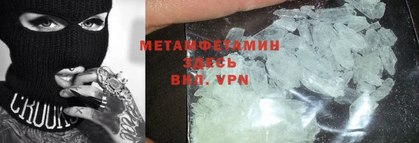 прущие грибы Горняк