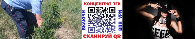 Дистиллят ТГК Wax  Купить закладки  Лагань 