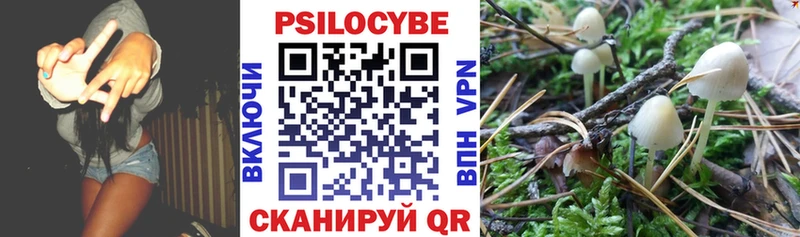 Галлюциногенные грибы Psilocybine cubensis  Купить где  Лагань 